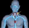 Dalin Medical AngioClinic Dalin Medical AngioClinic