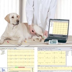Electrocardiograf veterinar PS-8/B