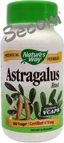 Astragalus Root