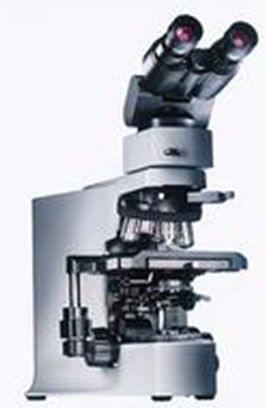 Bx41 - microscop de laborator olympus