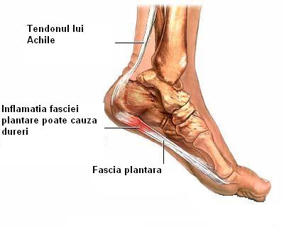 inflamația gleznei piciorului
