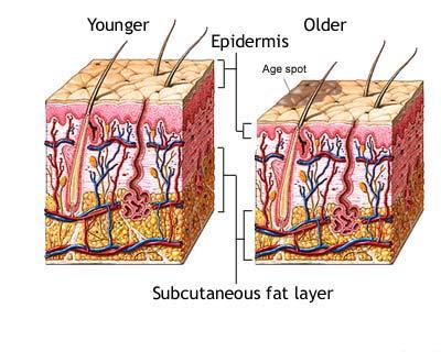 Tratamente cosmetice: Efectul imbatranirii la nivelul pielii