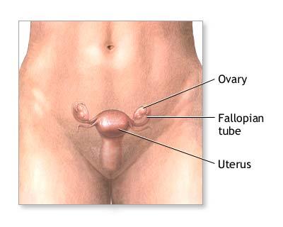 Laparoscopia – in diagnosticul endometriozei