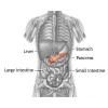 Abcesul pancreatic