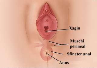 Zona vaginului Rupturi ale vaginului