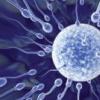 Peste 50 de dosare de fertilizare in vitro au fost aprobate de comisia Ministerului Sanatatii