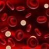 Viata unui copil roman va fi salvata printr-un transplant de celule stem