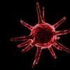 Cercetatorii americani au descoperit un anticorp care distruge celulele cancerului de prostata 
