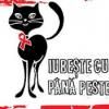 Abordari integrate de prevenire HIV/SIDA in Romania