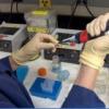 Laureatii premiului Nobel pentru medicina contribuie la vaccinuri imbunatatite si noi abordari in lupta anticancer