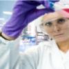  Vanzari in crestere cu 10% pentru Roche Romania Diagnostics Division, in 2010