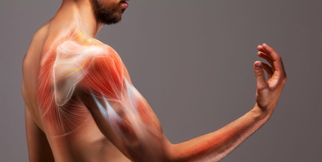 tratamentul articulațiilor și al spatelui muscular