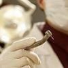 Centru de medicina dentara de cinci milioane de euro, deschis vineri la Targu Mures