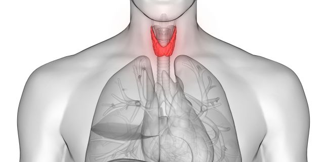 Efectul bolii tiroidiene asupra articulațiilor, Scintigrafia în hipertiroidism