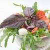 Alimentele functionare: beneficii pentru sanatate