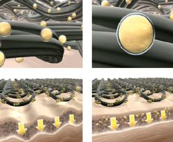 cosmetotextile