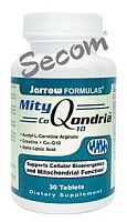 secom, mityqondria
