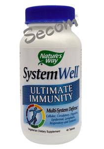 system well, secom