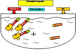 ECLIA de tip competitiv 1