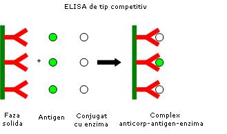 ELISA de tip competitiv