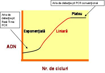Proces amplificare