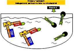 ECLIA tip sandwich 3