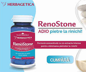 RENOSTONE | Herbagetica
