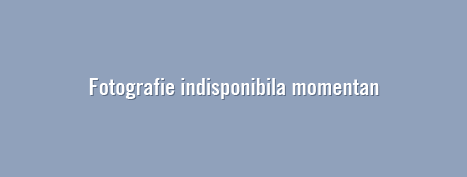 Ingrijirea unghiei
