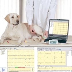 Electrocardiograf veterinar ps-8/b