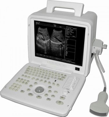 Ecograf portabil alb negru SS 4 