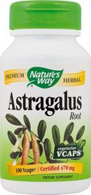 Astragalus