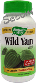 Wild Yam Root