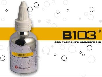 B-103