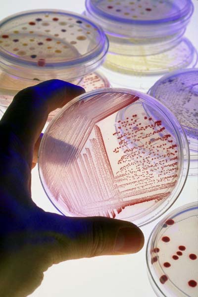 investigatii medicale