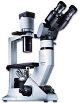Olympus ckx41 - microscop inversat compact pentru  aplicatii de rutina