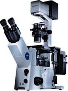 Olympus IX71 pentru aplicatii de rutina si cercetare