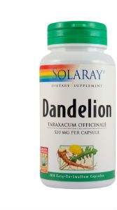 Dandelion 520mg