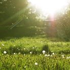 Online - Relaxare cu imagerie dirijata