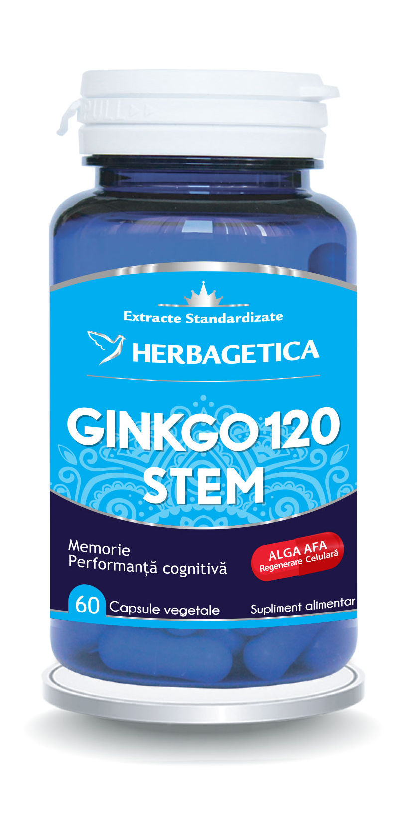 Ginkgo stem120