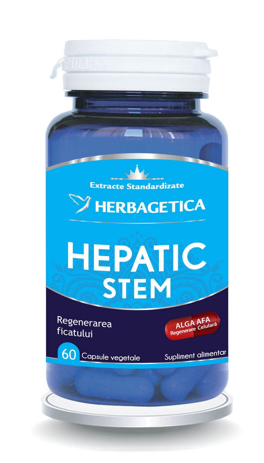 Hepatic stem