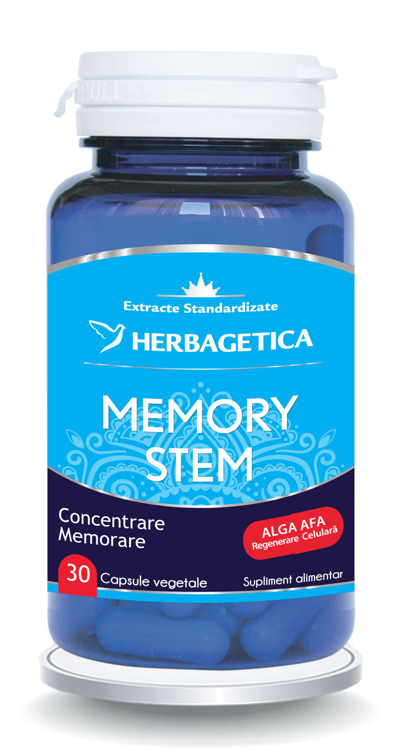 MEMORY STEM