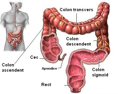 Profilaxia cancerului colorectal