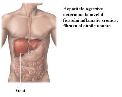 Hepatita virala B - generalitati