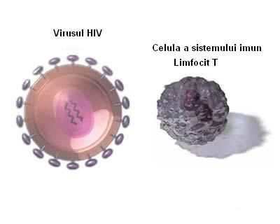 Infectia cu Virusul Imunodeficientei Umane (HIV) - SIDA