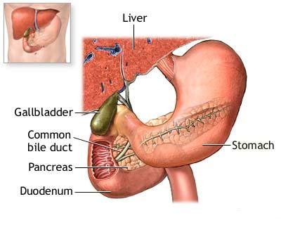 Pancreatita cronica (Inflamatia cronica a pancreasului)