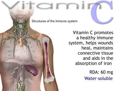 Vitamina C in viroza respiratorie