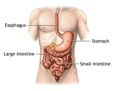 Hemoragia gastro-intestinala