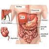 Afectiuni ale sistemului digestiv