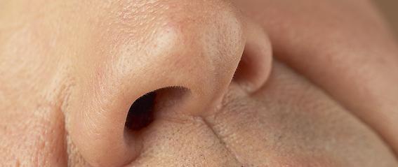Nasul si sinusurile