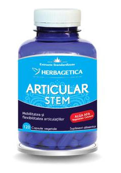 Articular+ Stem, 120 capsule, Herbagetica